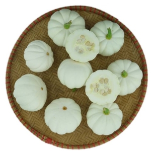 Bí Ngô Mini Trắng 