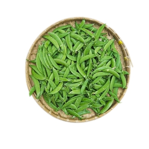 Đậu Hà Lan