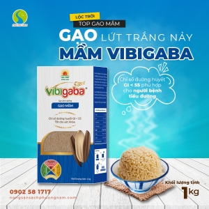 Gạo Mầm Vibigaba - Hộp 1kg