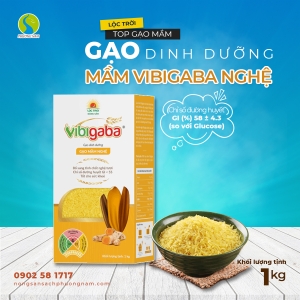 Gạo Mầm Vibigaba Nghệ - Hộp 1kg
