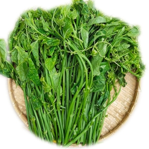 Đọt Su Su - Gói 250gram 