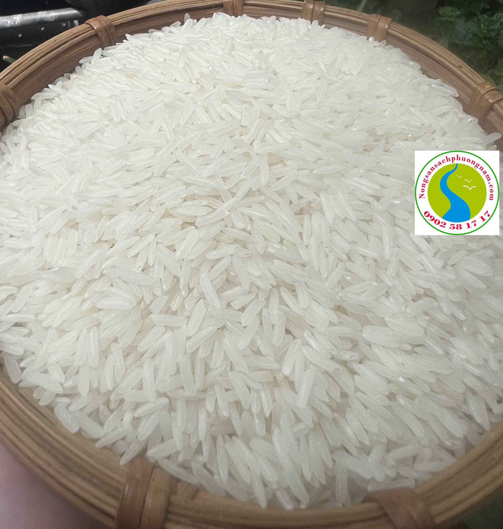 Gạo Hạt Ngọc Trời Thành phố Hồ Chí Minh