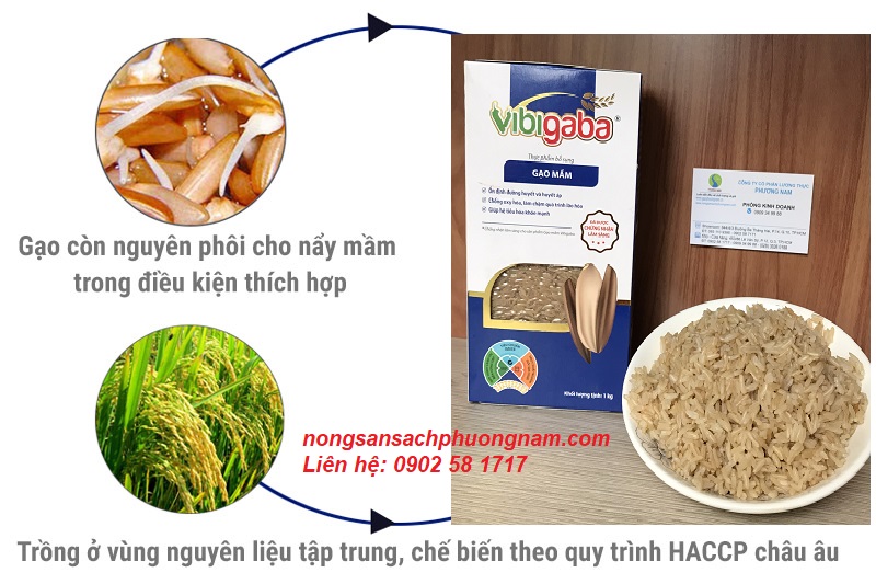 gạo mầm Vibigaba giàu chất GABA