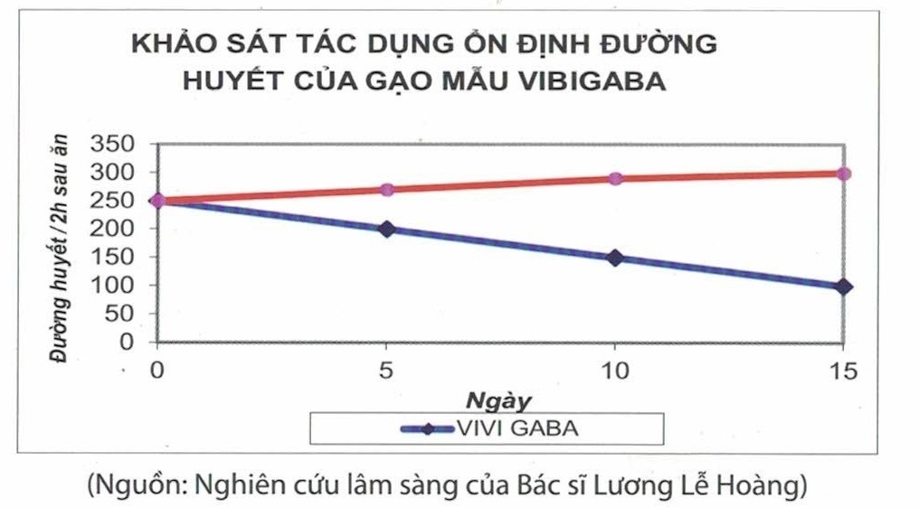 Khảo sát tác dụng ổn định đường huyết của gạo mầm Vibigaba