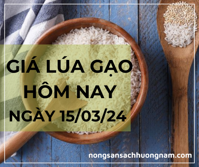 Giá lúa gạo hôm nay ngày 15/03/2024