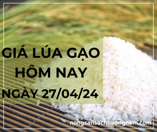 Giá lúa gạo hôm nay ngày 27/04/2024 
