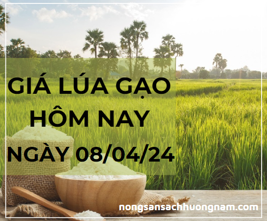 Giá lúa gạo hôm nay ngày 05/04/2024 
