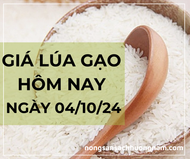Giá lúa gạo hôm nay ngày 04/10/2024 