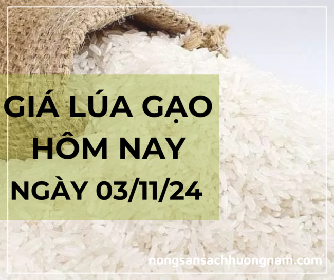 Giá lúa gạo hôm nay ngày 03/11/2024 