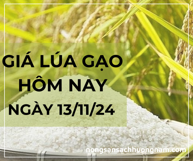 Giá lúa gạo hôm nay ngày 13/11/2024 