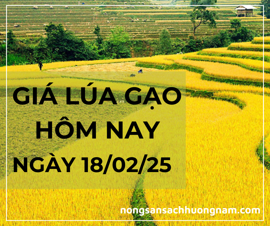 Giá lúa gạo hôm nay ngày 18/02/2025 