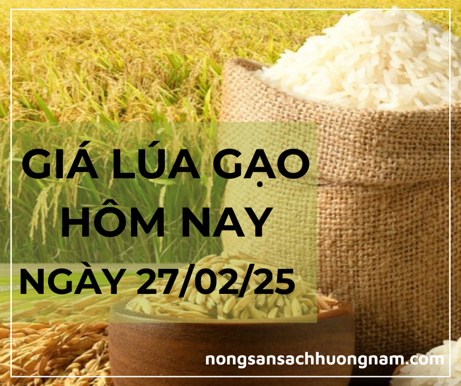 Giá lúa gạo hôm nay ngày 27/02/2025