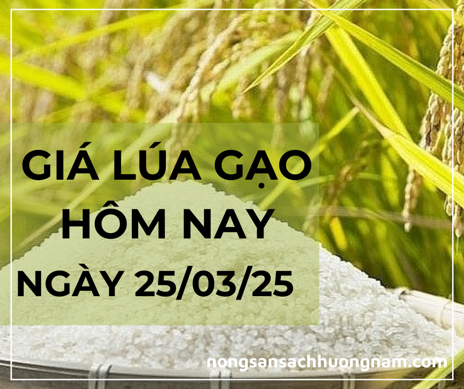 Giá lúa gạo hôm nay ngày 25/03/2025