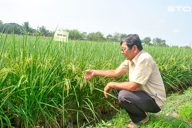 Kỹ sư Hồ Quang Cua