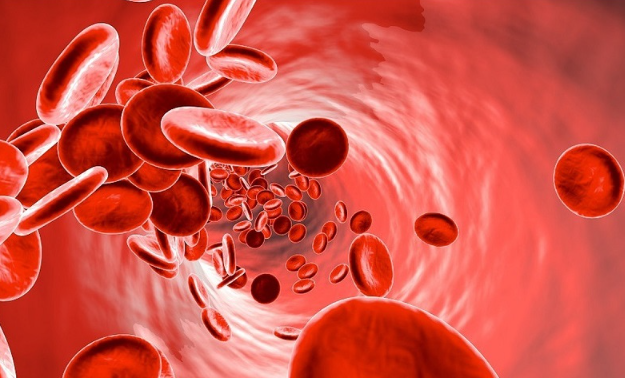 Sầu riêng phòng ngừa thiếu máu 