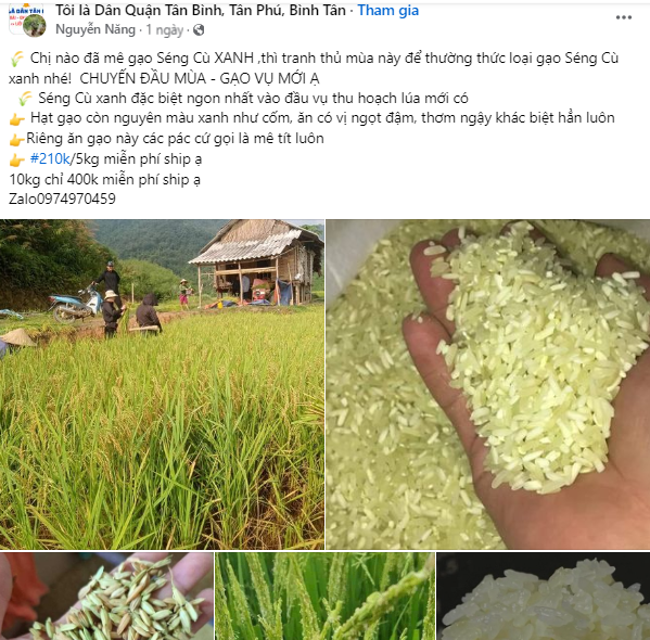 Gạo séng cù xanh