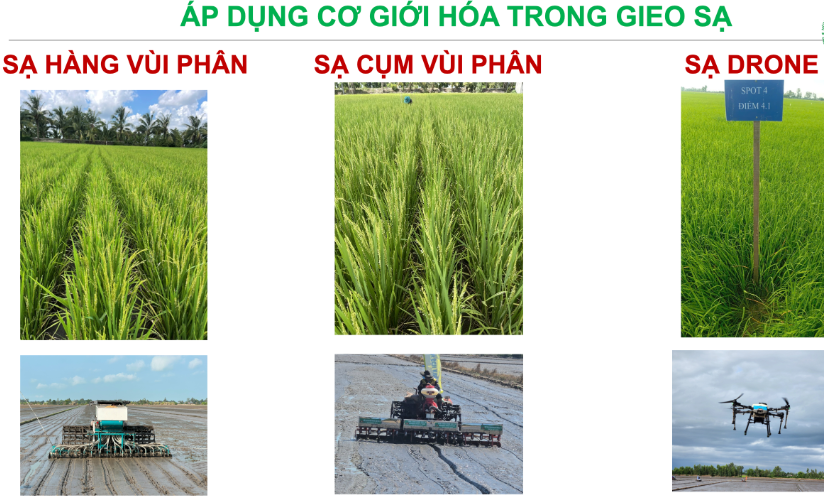 7 mô hình đang triển khai đã ứng dụng rất nhiều công nghệ, từ kỹ thuật bón phân đến công nghệ số đo phát thải carbon... Trong ảnh: Áp dụng cơ giới hóa trong gieo sạ. Ảnh: T.L