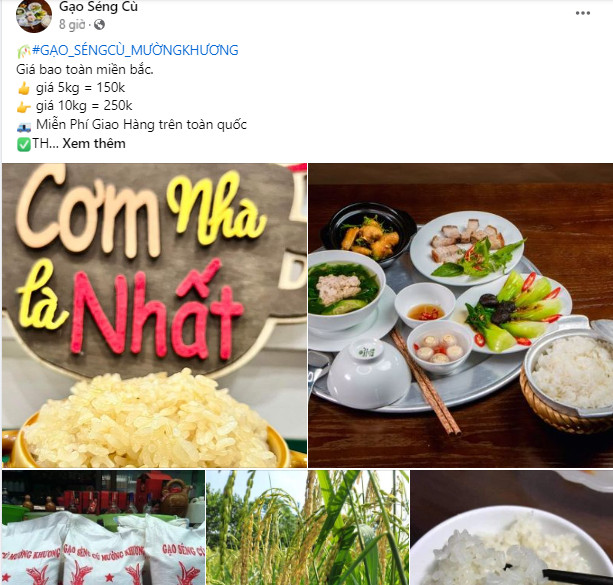 Gạo séng cù mường khương