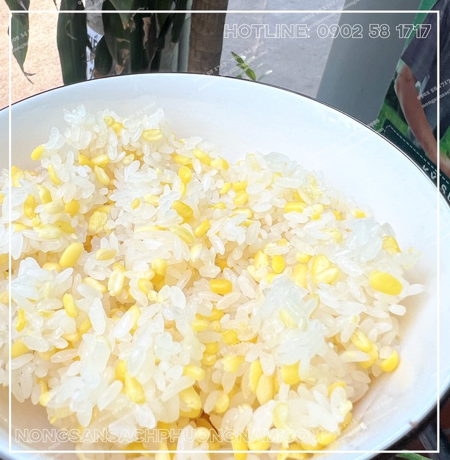 Xôi đậu xanh từ gạo nếp cái hoa vàng 