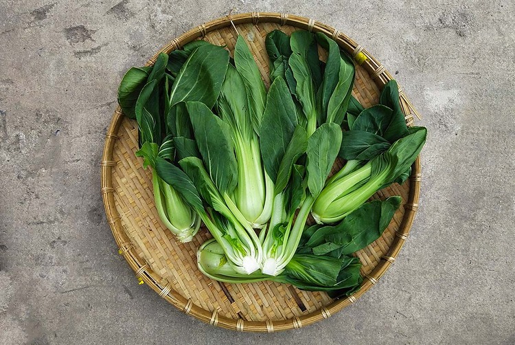Cải thìa 