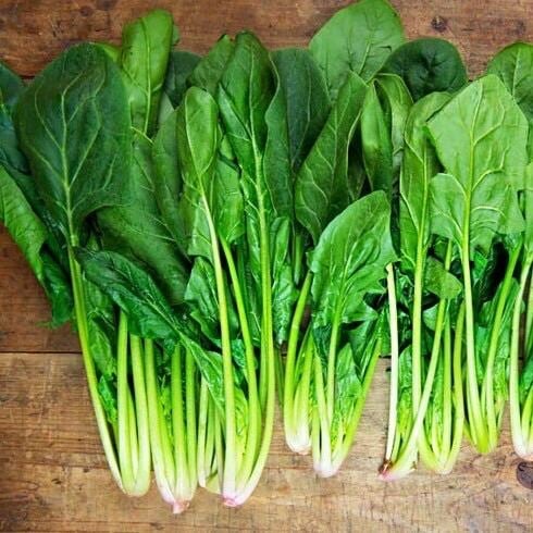 Cải bó xôi