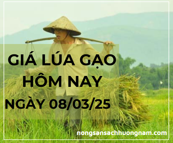 Giá lúa gạo hôm nay ngày 10/03/2025 