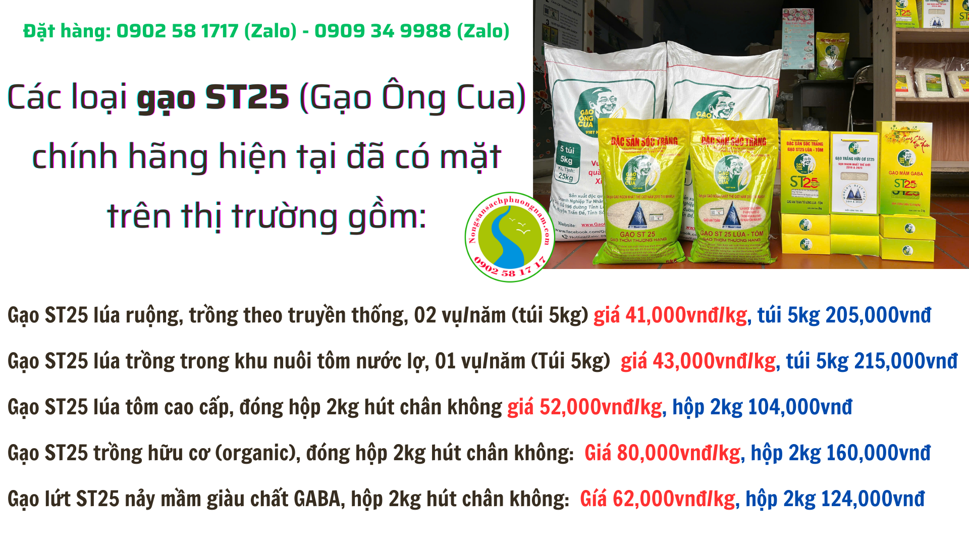 Các loại gạo Ông Cua St25
