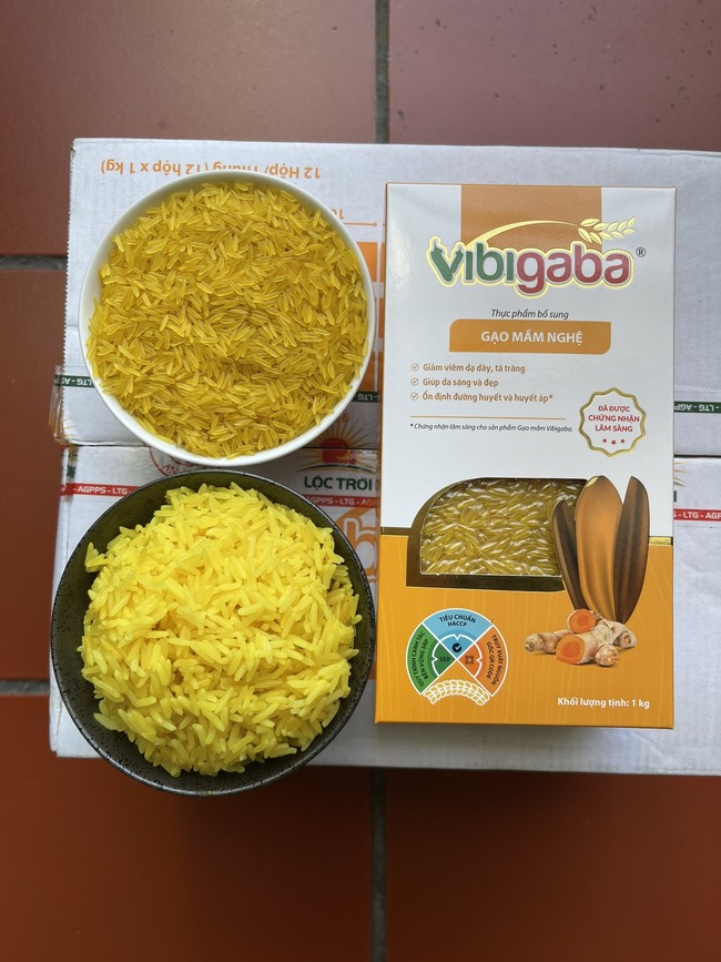 Cách nấu gạo mầm nghệ Vibigaba 