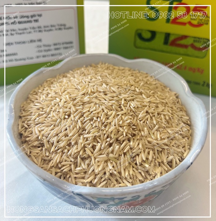 Hạt gạo lứt mầm giàu chất GABA 