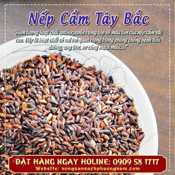 Hạt gạo nếp cẩm chất lượng phân phối bởi Nông Sản Phương Nam